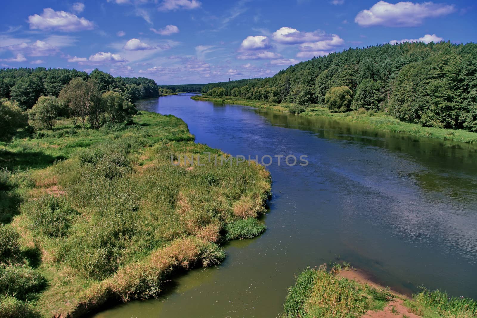 Fast river flow with green trees on the coastal slopes against the blue sky