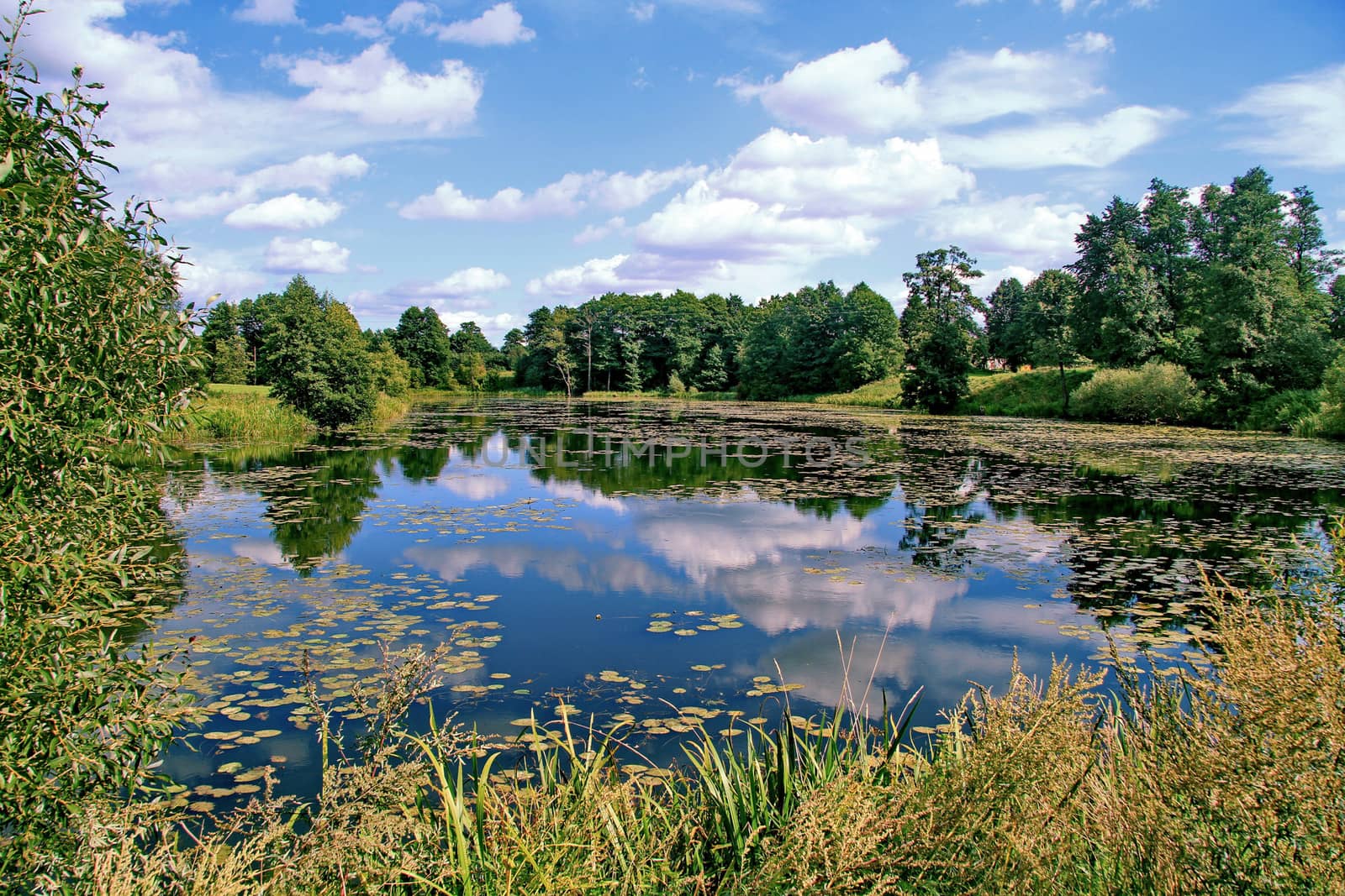The blue sky is reflected in the forest crystal clear lake. Grace for the soul