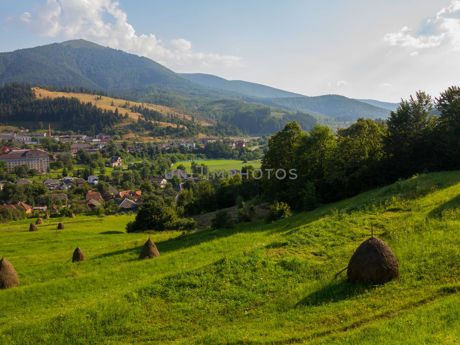 downhill from the mountain to the city overgrown with grass. Sush hay is packed in a pile