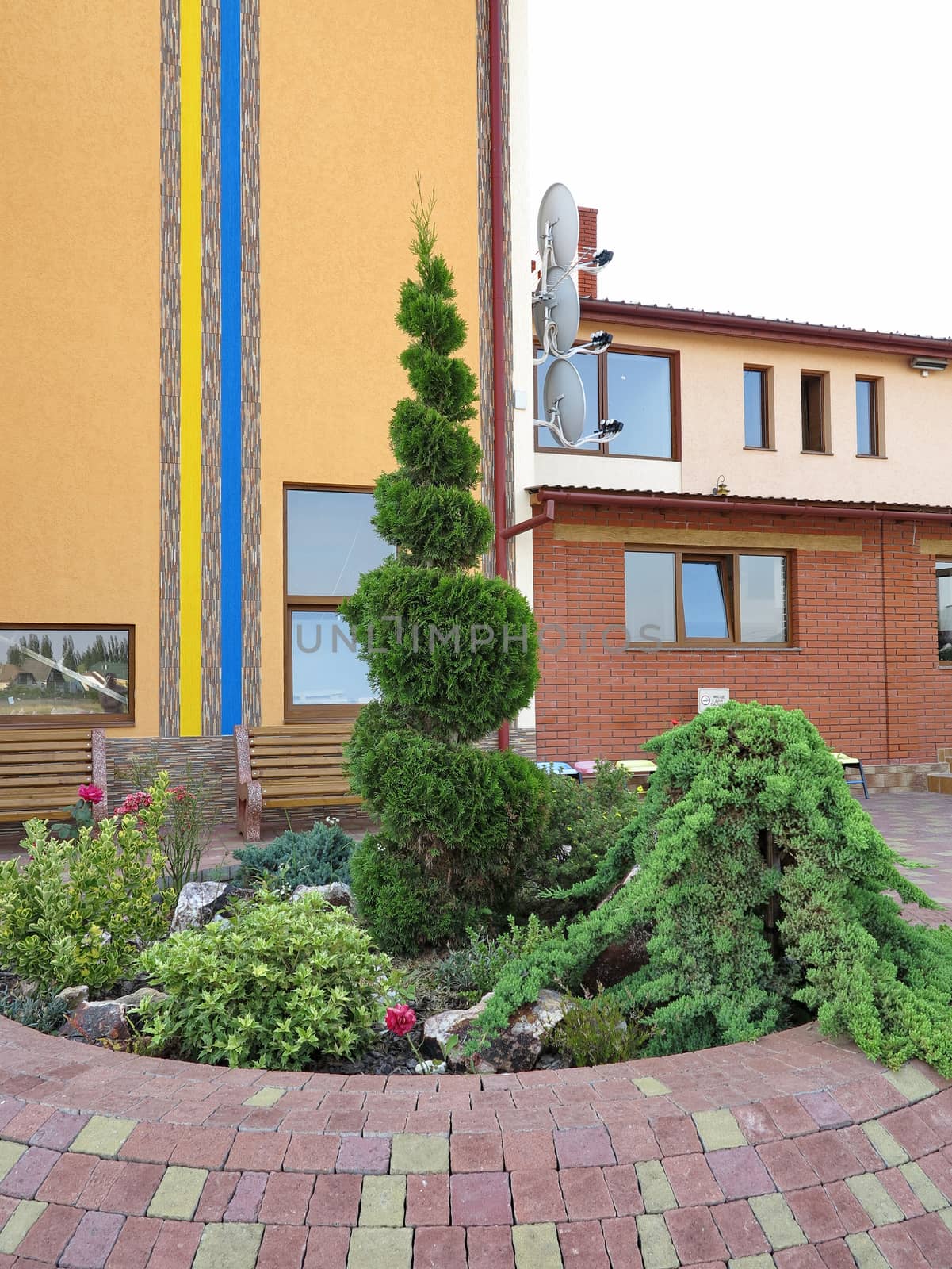 Futuristic flowerbed with a spiral bush near the building with a patriotic print by Adamchuk