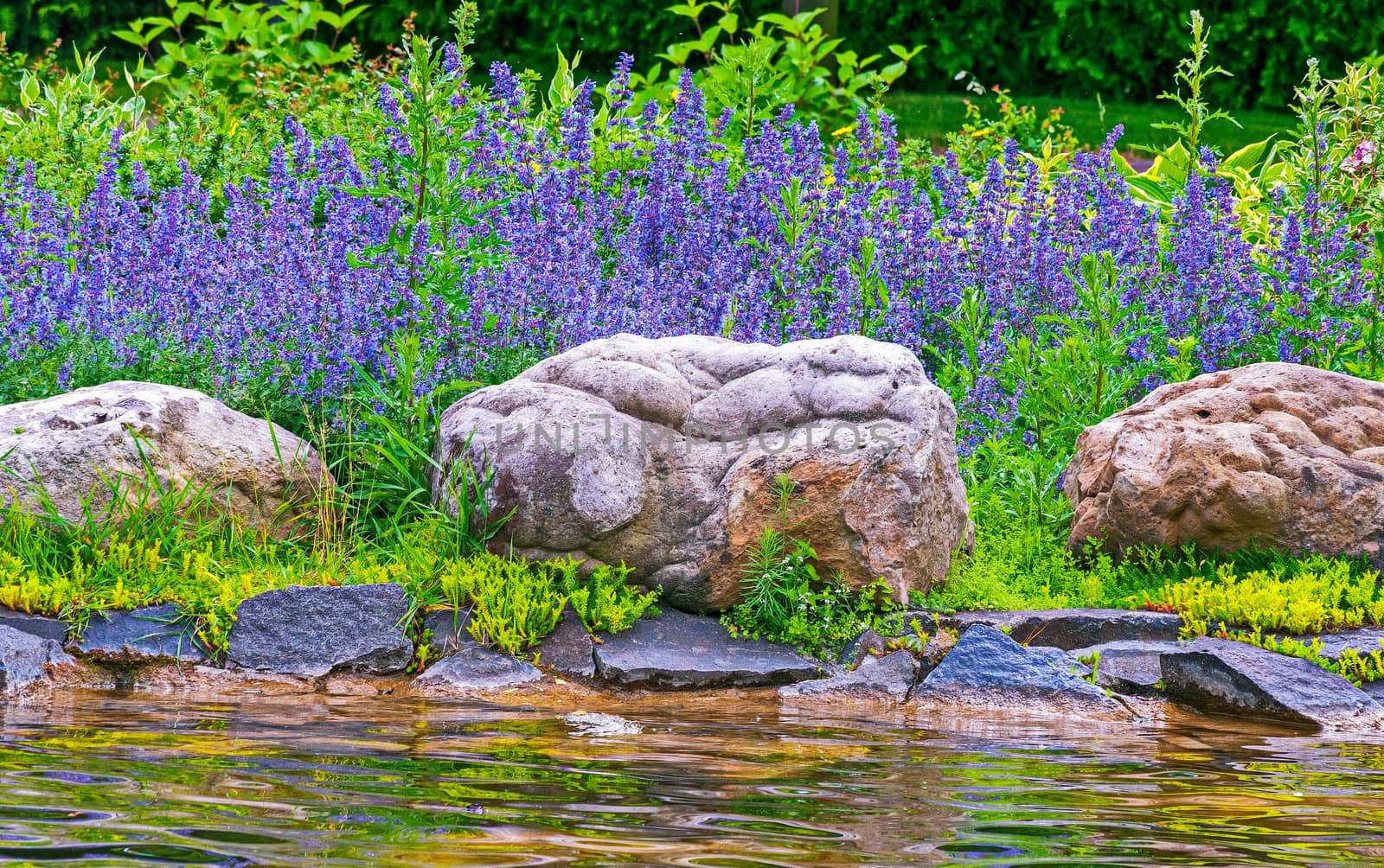 A small transparent river is washed by large stone boulders against the background of wild wildflowers