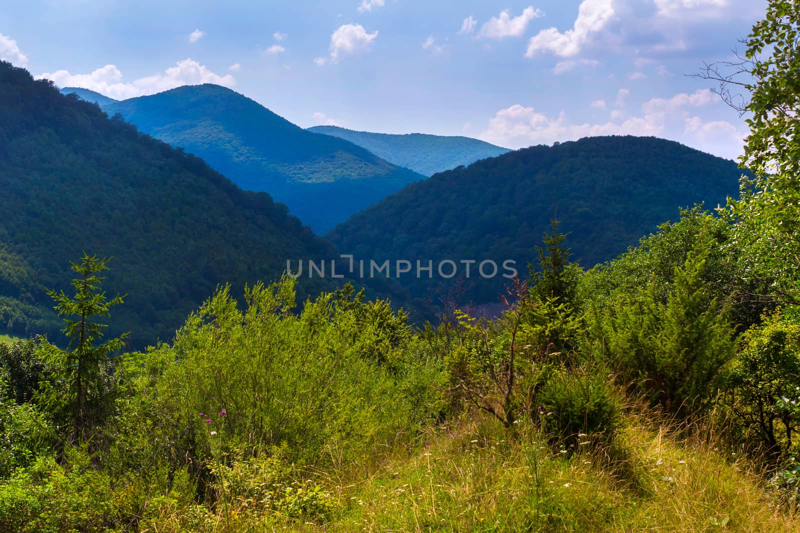 view from the clearing to the mountains of beautiful blue color