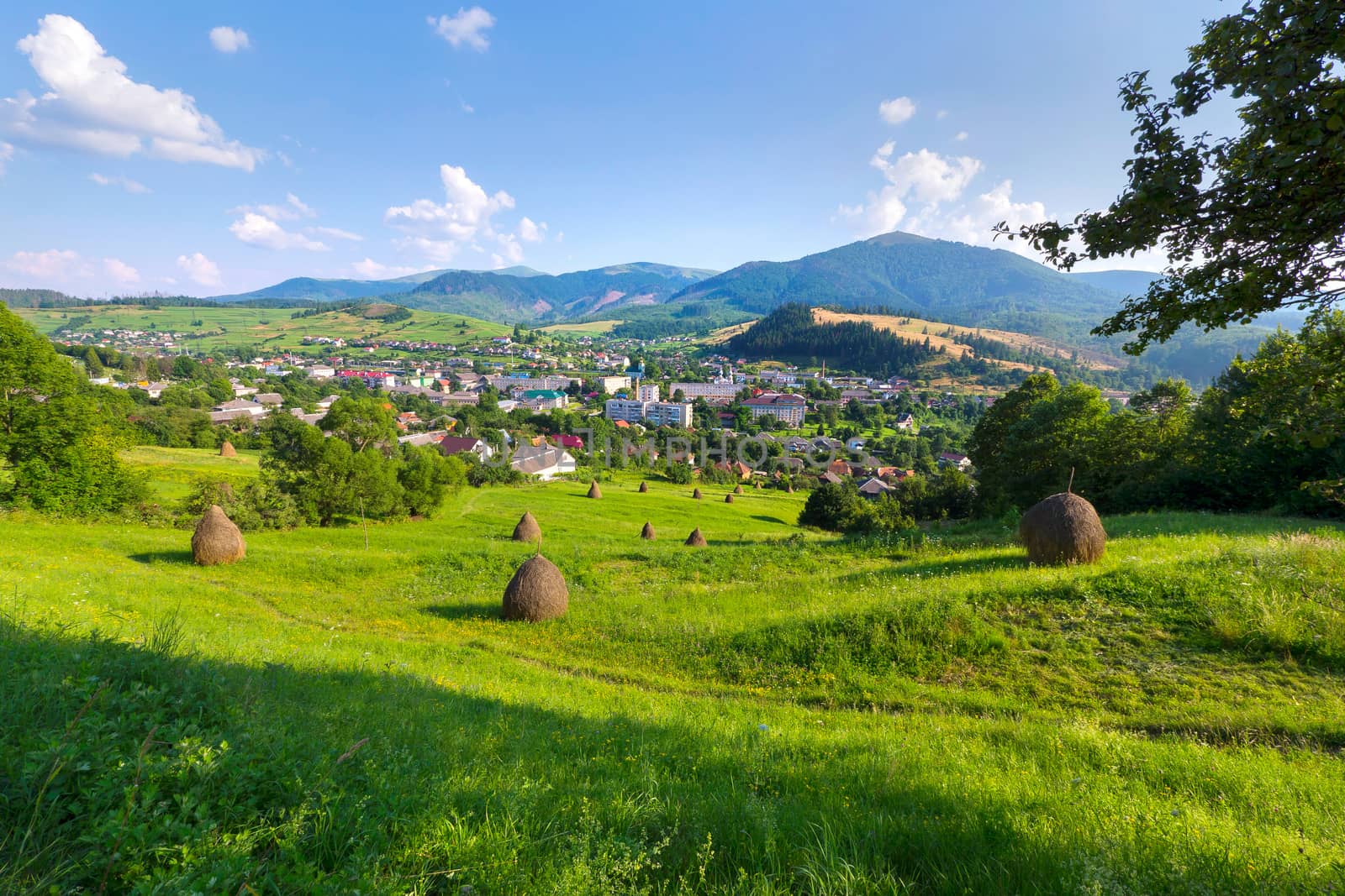 Carpathian town on the background of the distant mountains. On a green grass, a dry hay is packed in a bundle