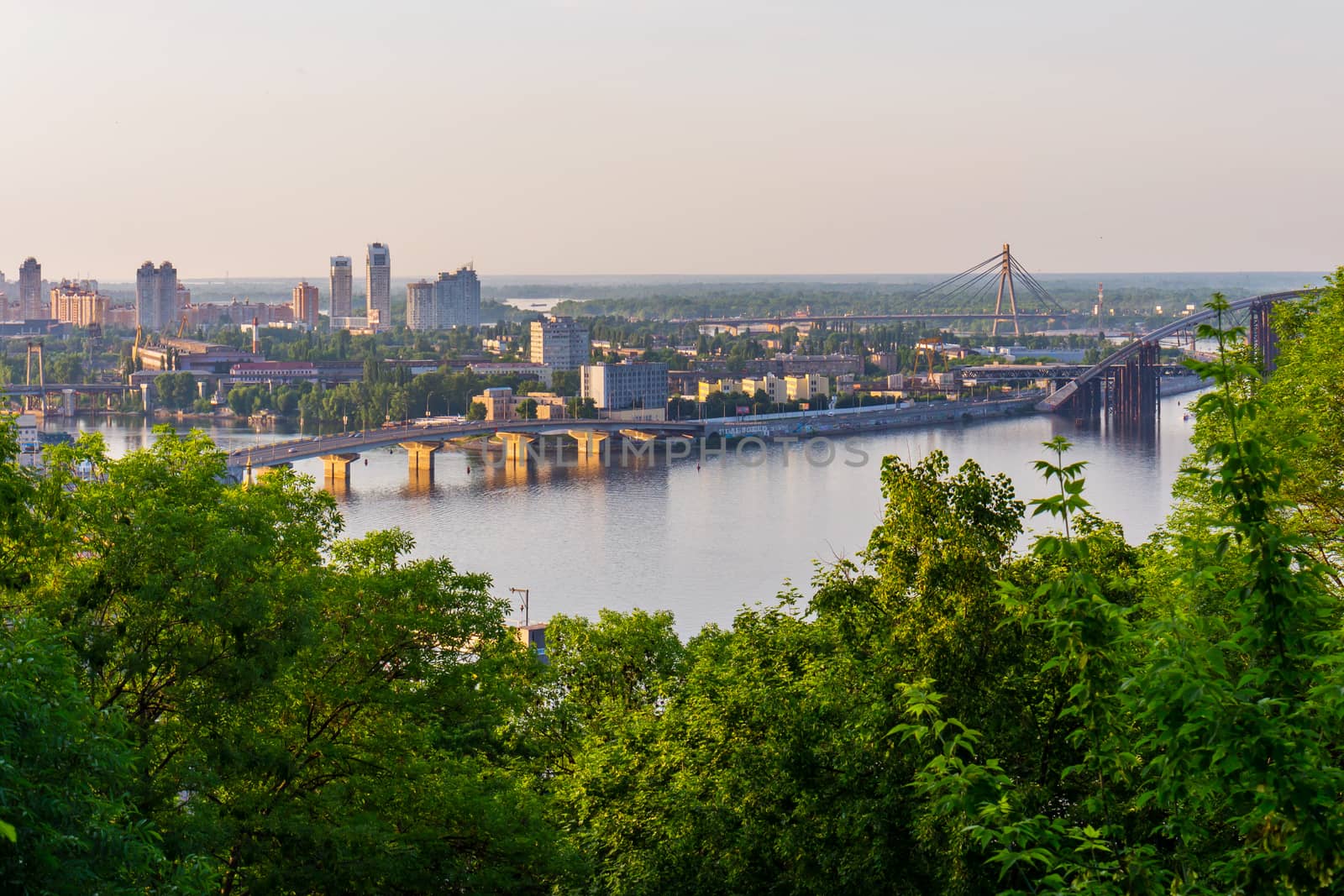 The tops of green leafy trees against the bridge across the river, connecting the two banks