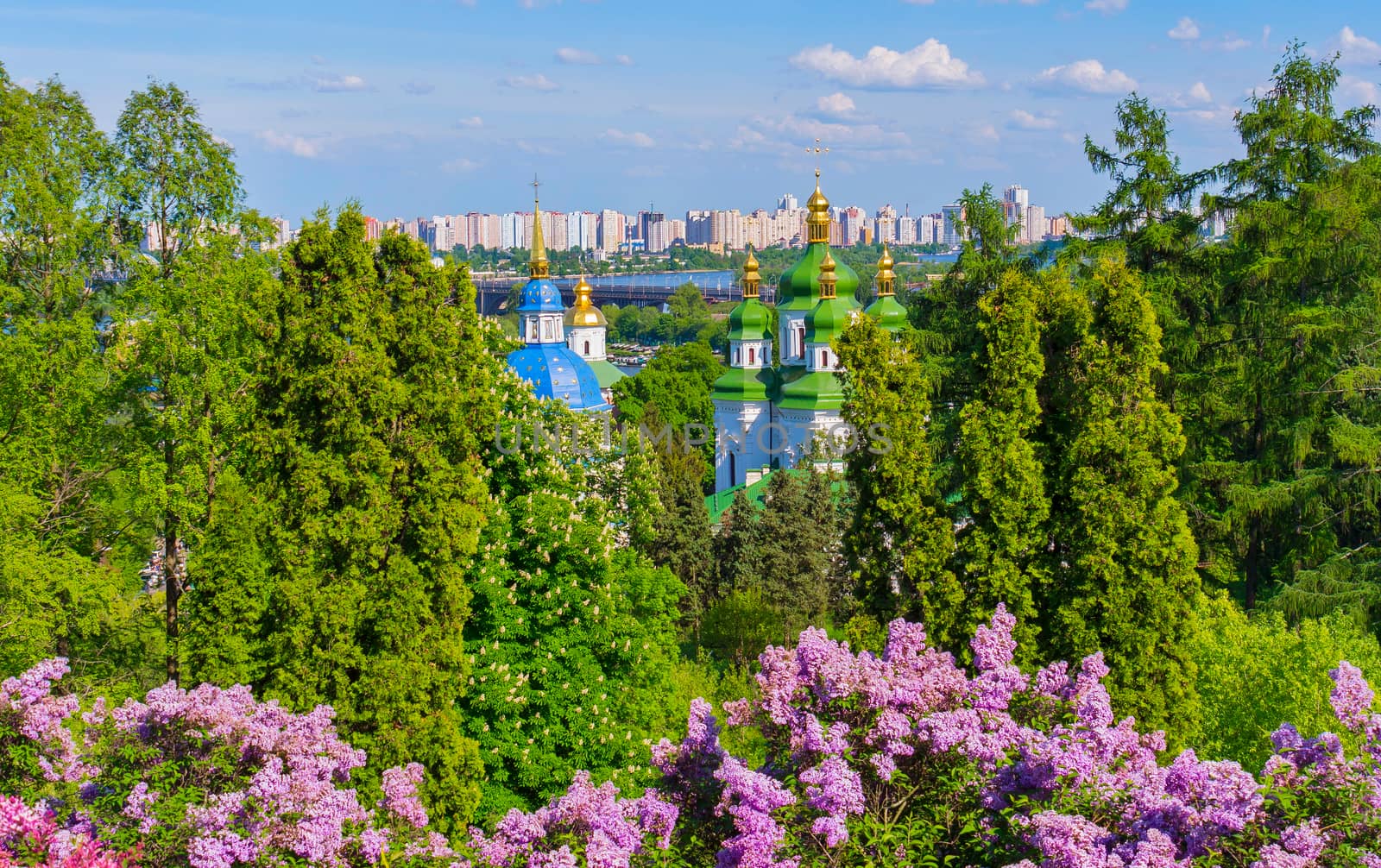 A chic landscape above the bushes of blossoming lilacs on the glistening dome of the church and the high houses of the city quarters standing on the river bank.