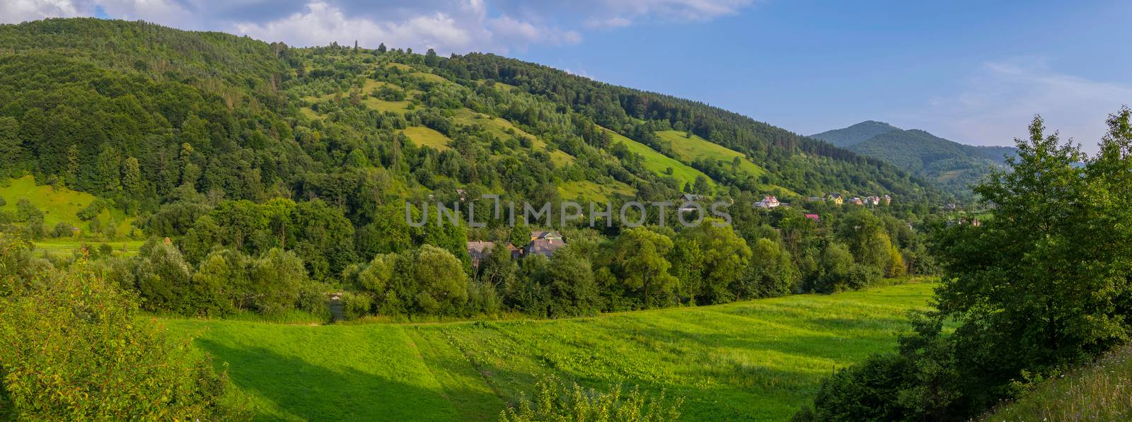 Small rural houses in the shade of green tall trees on the slopes of gently sloping mountains