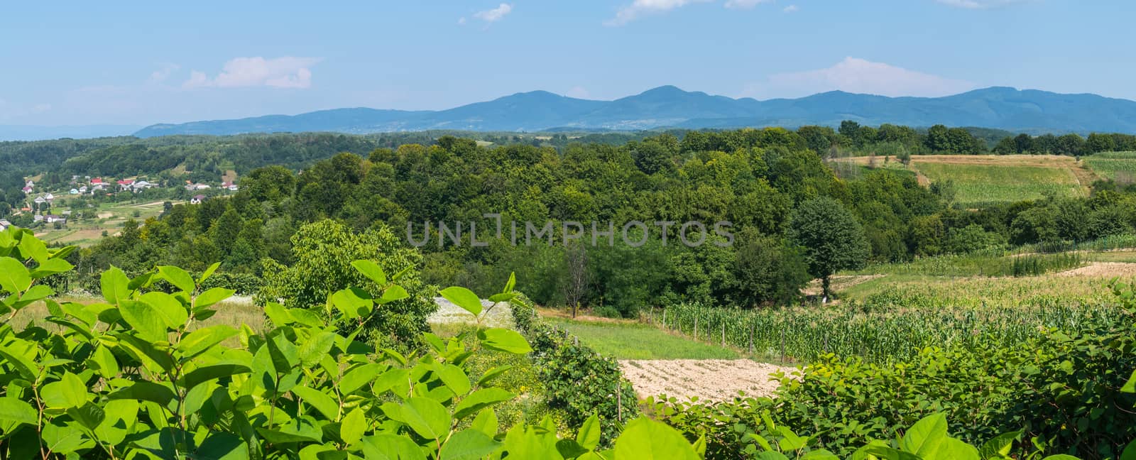 A beautiful panorama of green thickets of trees with the houses lying between them against the backdrop of the mountain peaks under the blue sky.