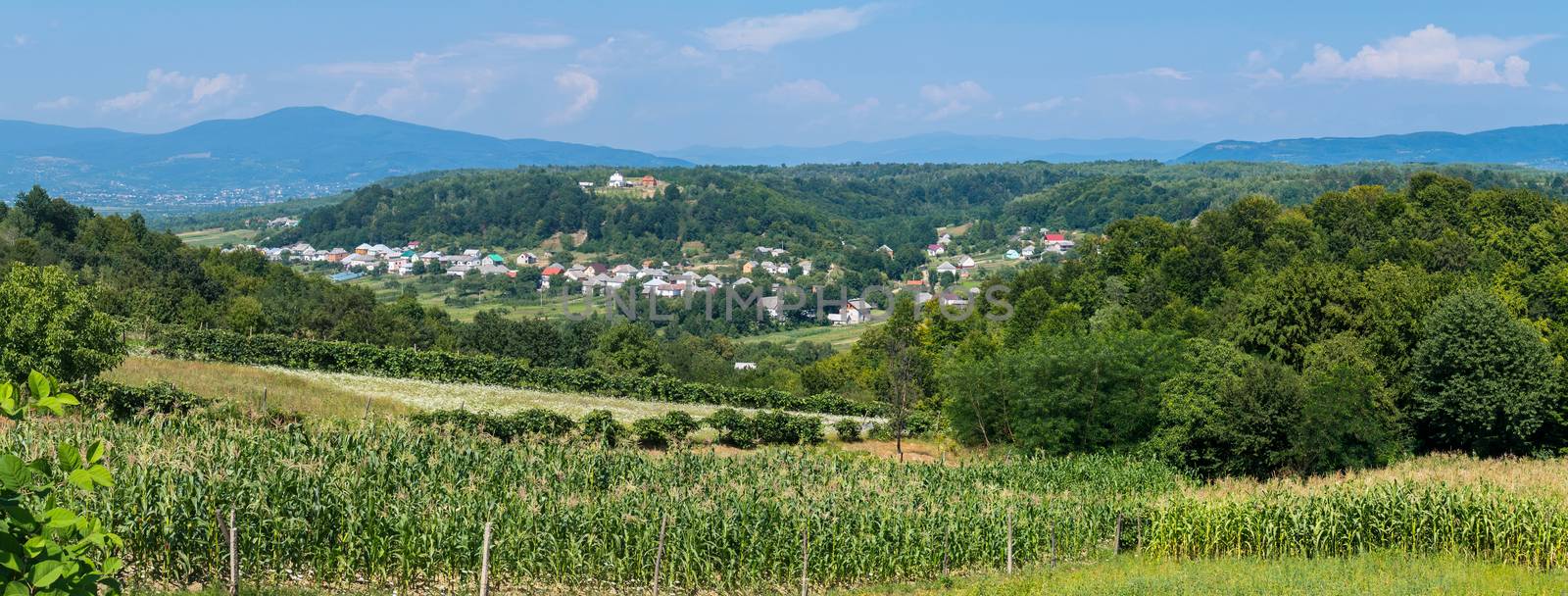 Small rural houses are located at the foot of a wide massive green mountain