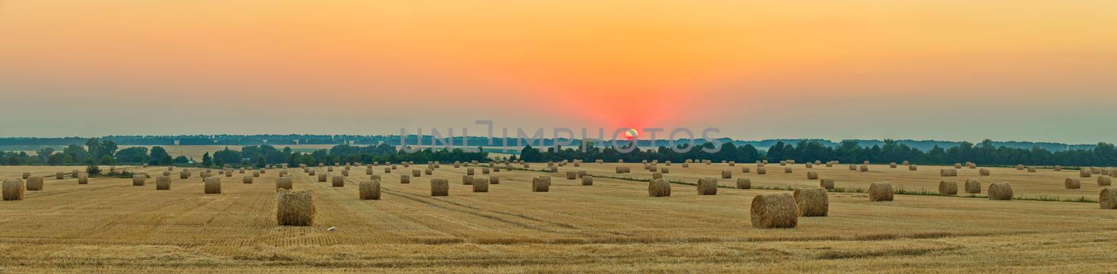 wheat field with bale of straw after harvest under the western sun by Adamchuk