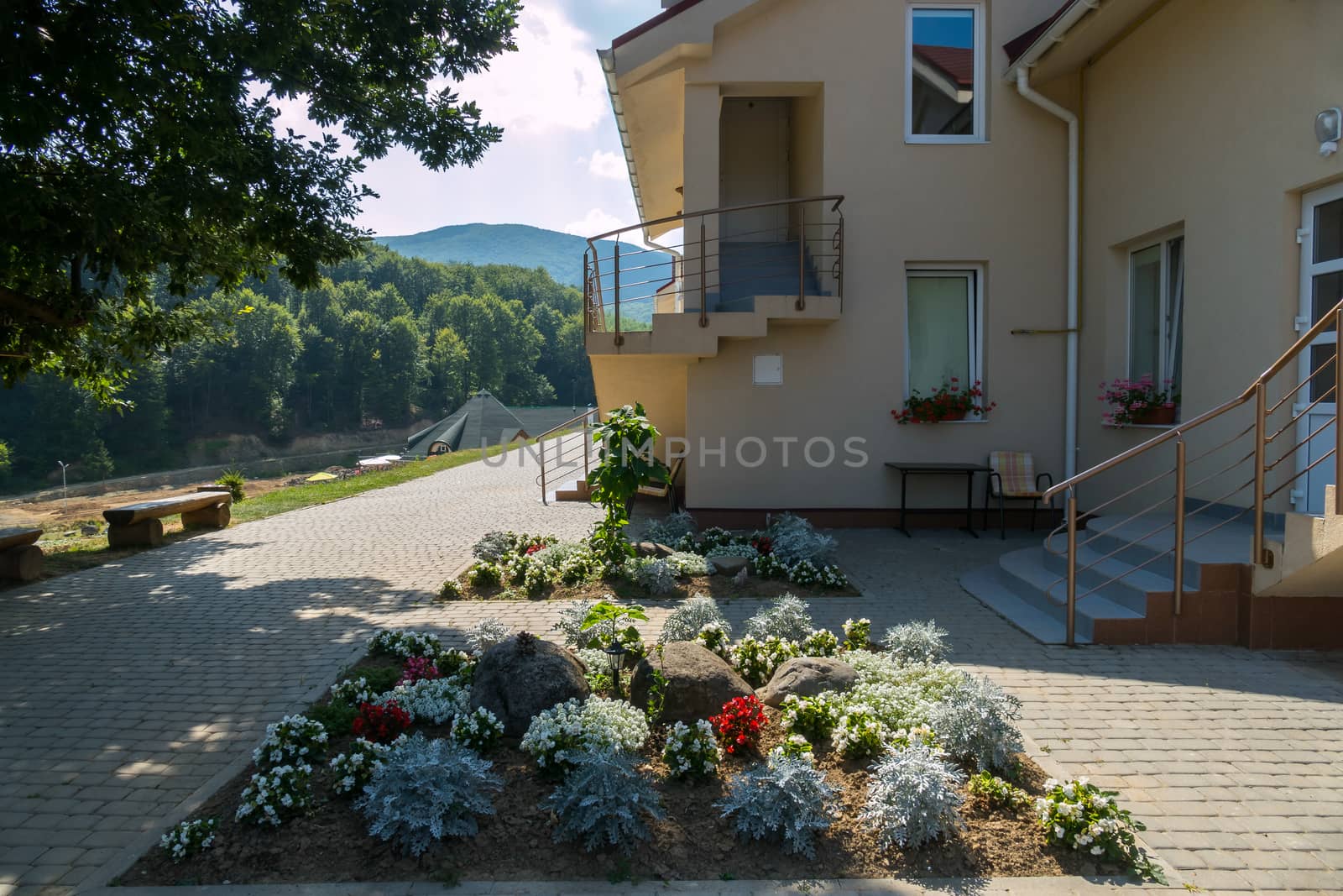 beautiful flowerbed with flowers on a paved pavement near the steps of a tidy house