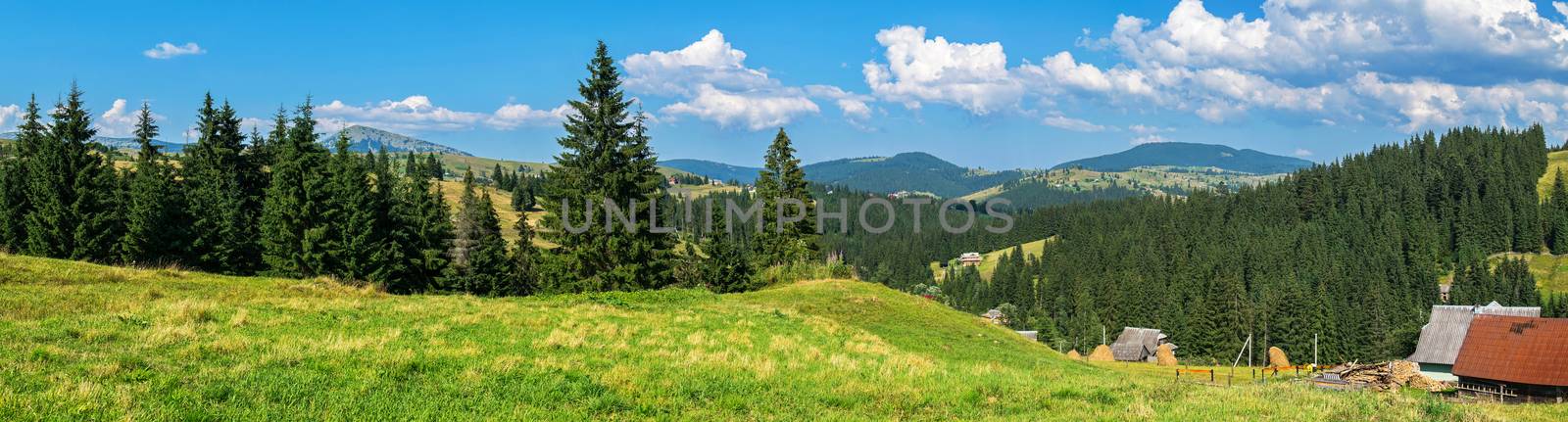 village houses on the slopes of mountains among meadows and spruce forests under a blue cloudy sky. place of rest, tourism, travel by Adamchuk