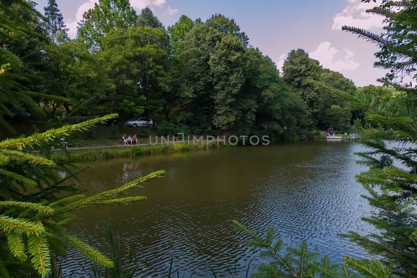 pond in the park with a lot of people on the beach in the shade of trees