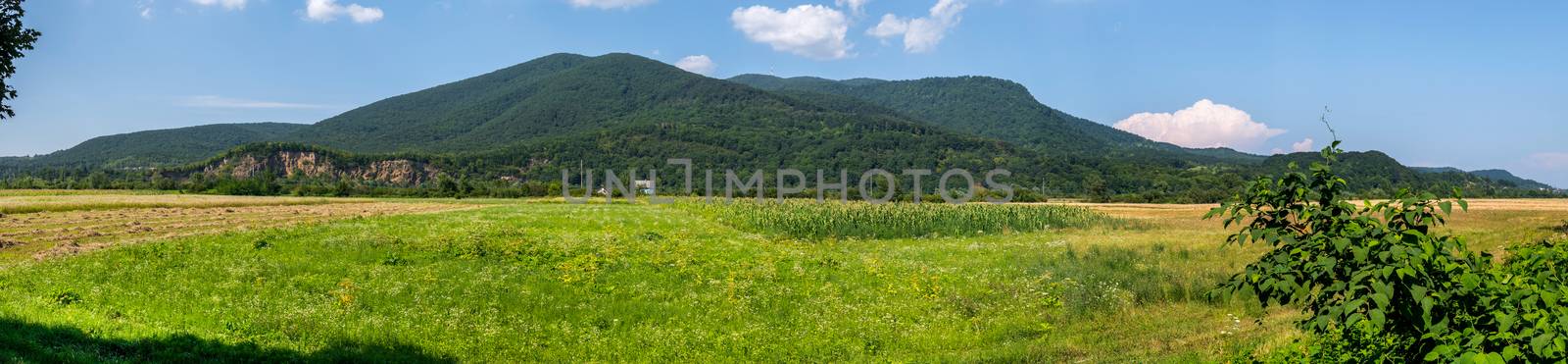 Panoramic view of the wild green field at the foot of the gentle mountain ranges by Adamchuk