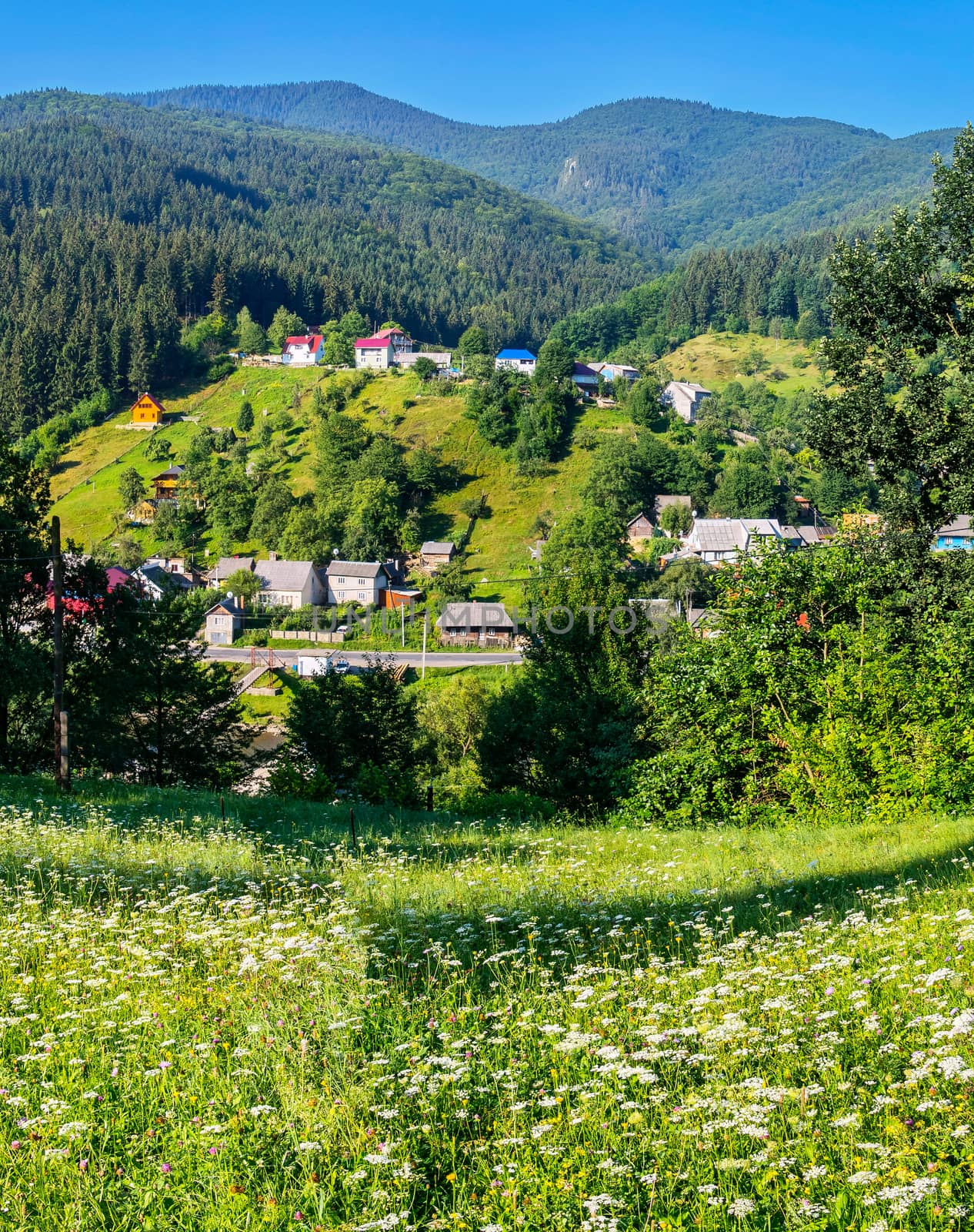 Beautiful rural houses located in a picturesque area among green slopes and trees near the road.