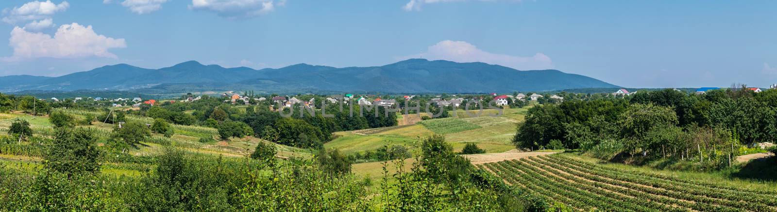 A panorama of hills with agricultural land near the village on the background of the distant mountains by Adamchuk