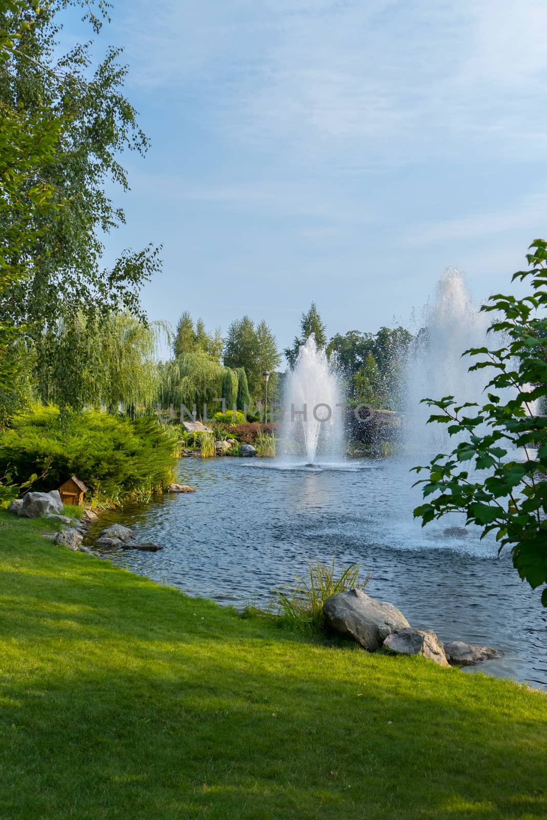 two high fountains in the middle of the lake in the city park and the shores covered with a lawn trough. A place for relaxation