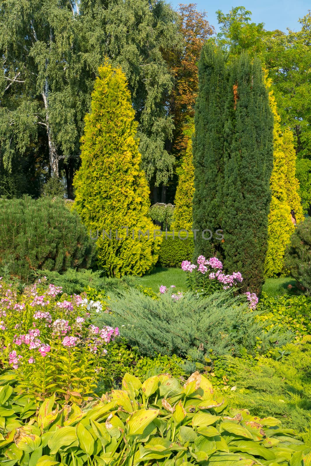 A flowerbed with tall shrubs, bright flowers and leaves of greenery. All possible shades of green gathered in one place