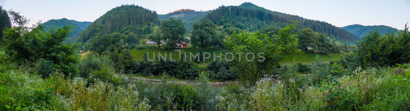 A panorama of a mountain range overgrown with spruce forest and houses under the trees at the foot