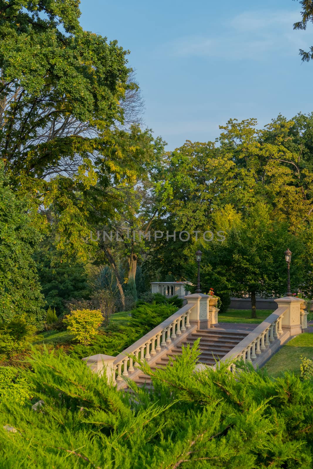 A staircase in a park with low handrails with lanterns for lighting in the evening is among trees and green lawns. by Adamchuk