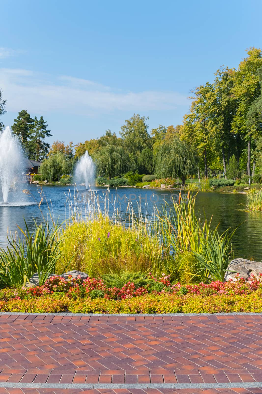 beautiful large pond with lush fountains, surrounded by tall green trees and flower beds with flowers against the blue clear sky. resting-place by Adamchuk
