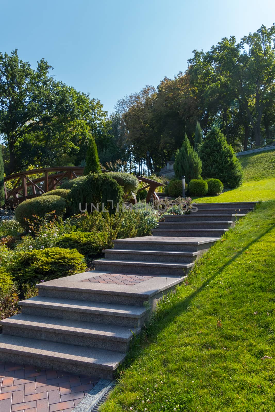The steps in the park are laid out of the tiles going up the hillock with a green lawn on one side and figured shrubs on the other.