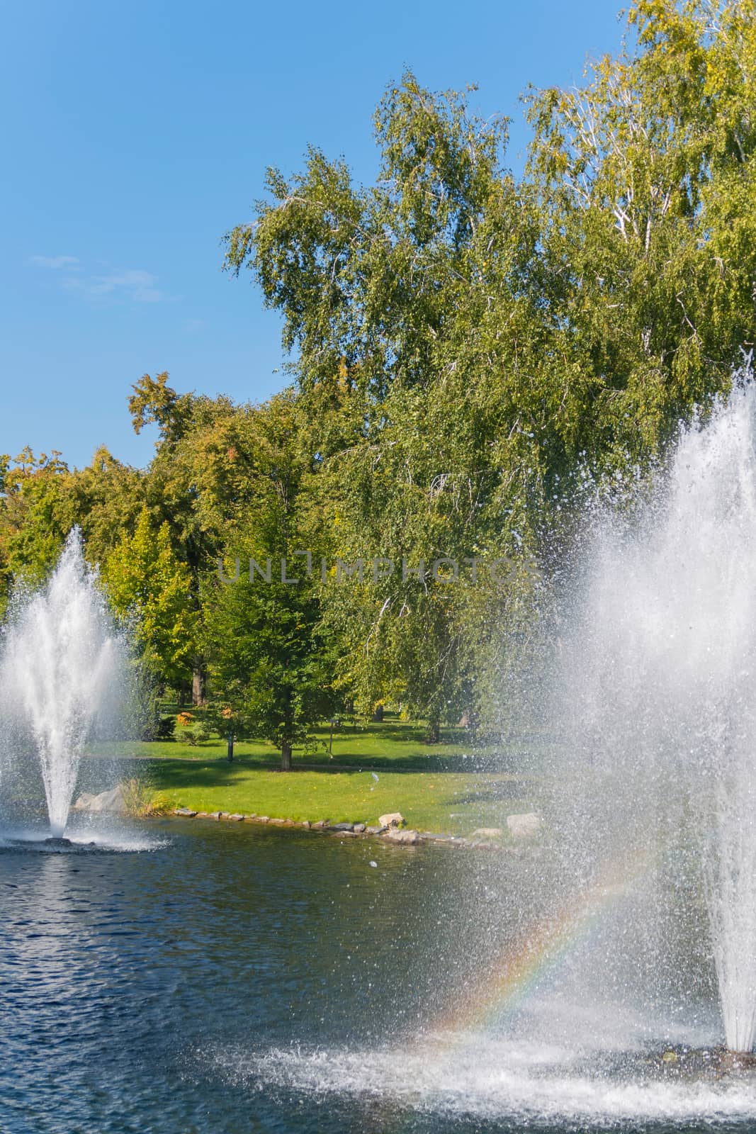 Highly hitting fountains. The sun's rays passing through their droplets turn into a rainbow