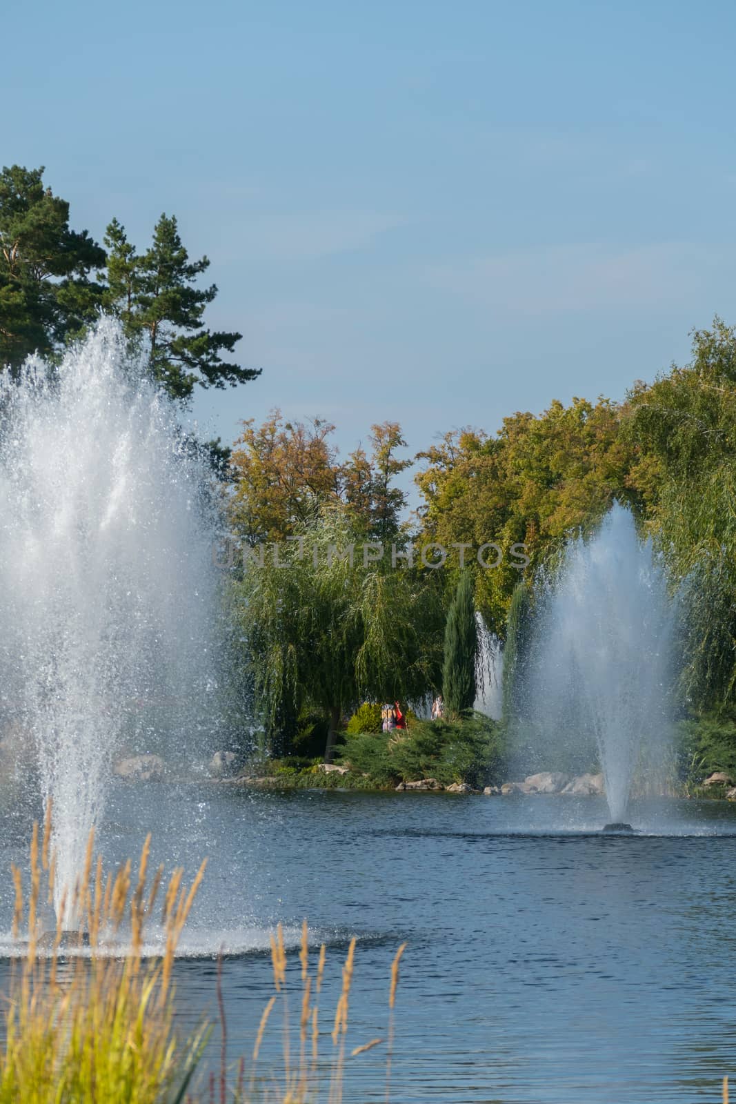 two beautiful high fountains in the middle of the lake by Adamchuk