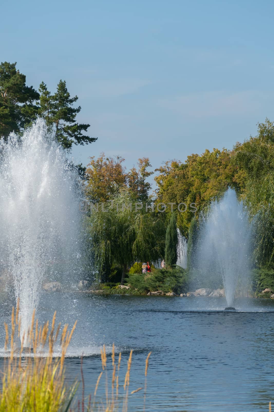 two beautiful high fountains in the middle of the lake