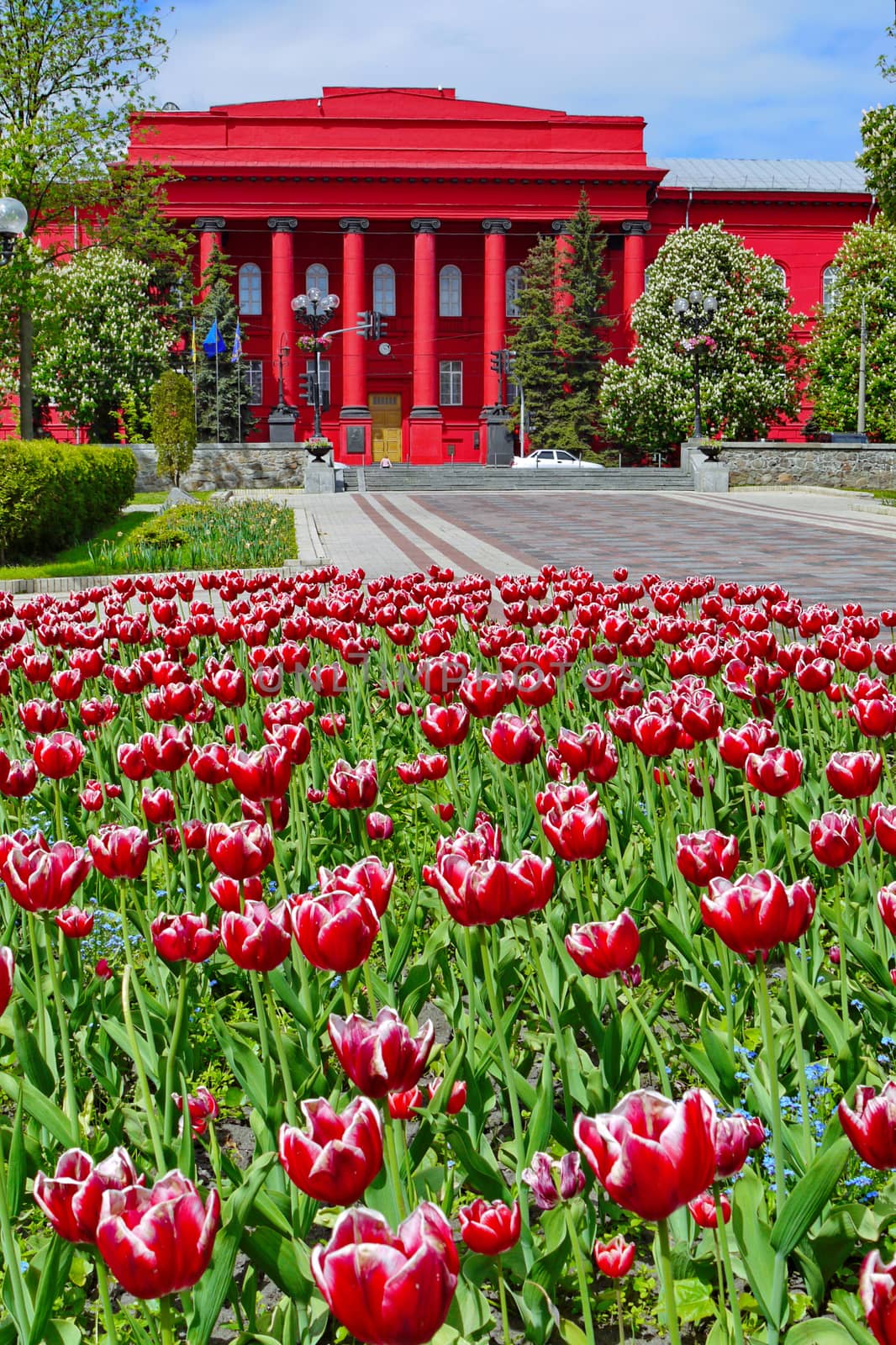 The elegant flowerbed with red tulips and a building of the same color in the distance