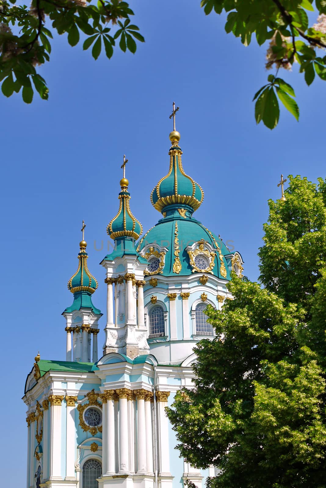 beautiful green domes of St. Andrew's Church with a gold stucco on the background of a blue sky. Kiev. Ukraine