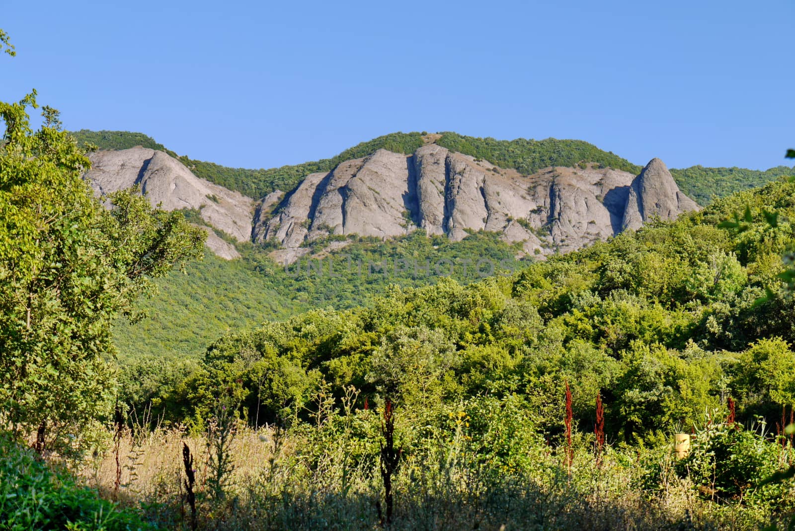 A beautiful landscape of green nature with trees and a rock standing among them consisting of huge stones as if standing next to each other. by Adamchuk