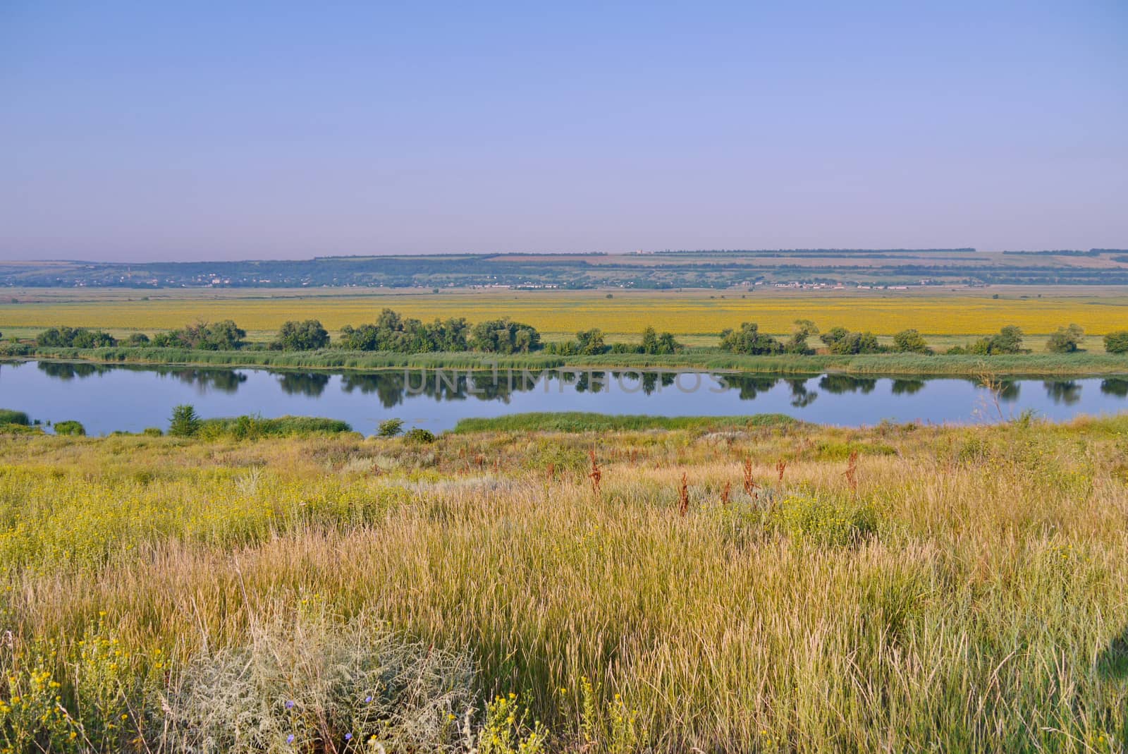 Transparent river surface against the backdrop of picturesque green nature