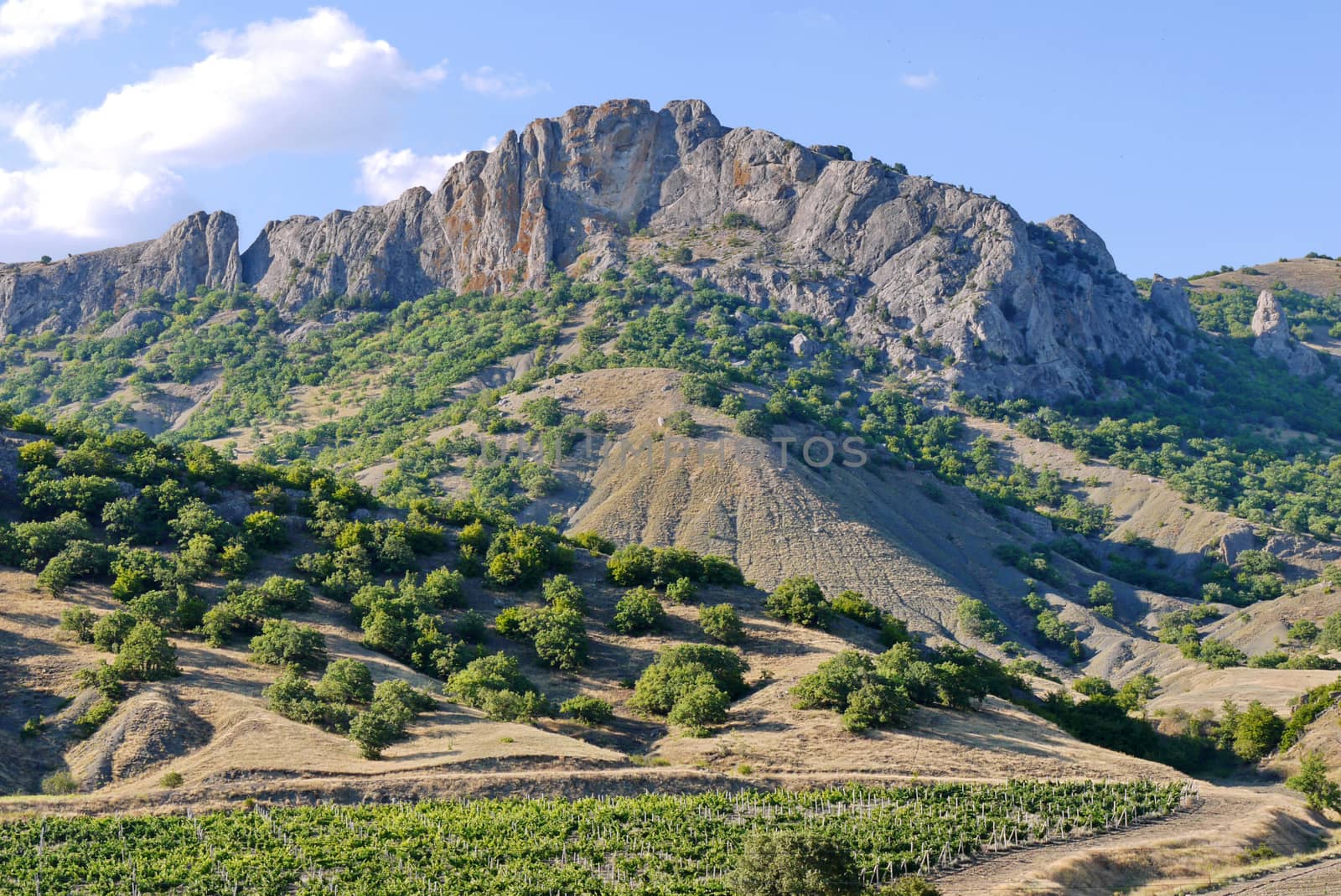 Rocks with a relief of outstanding stones with slopes covered with sparse vegetation standing against the blue sky.