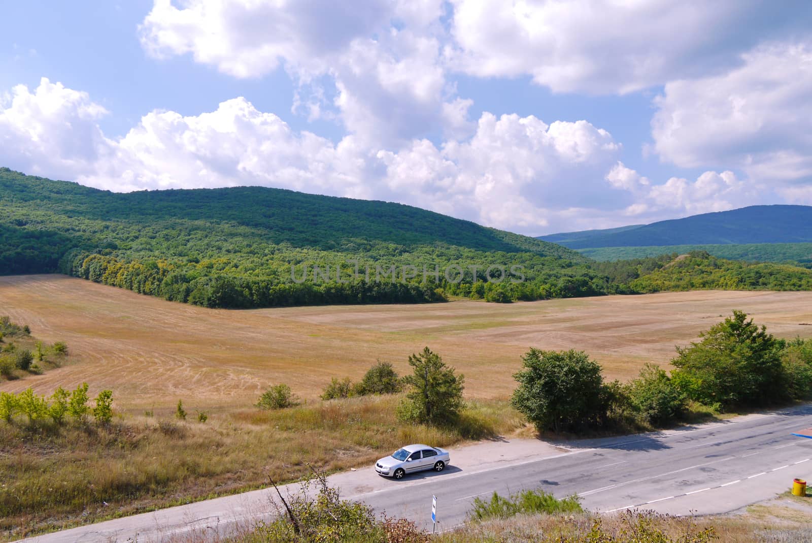 gray car on a road in the middle of a valley with dry grass and a dense green forest against a blue cloudy sky