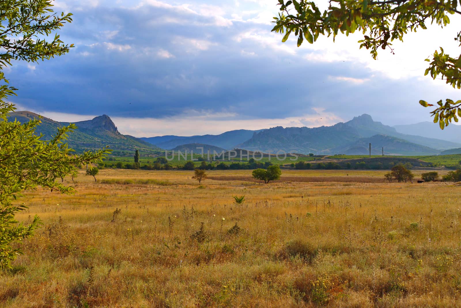 A beautiful landscape of plain with a withered grass with green mountain slopes on the horizon line.