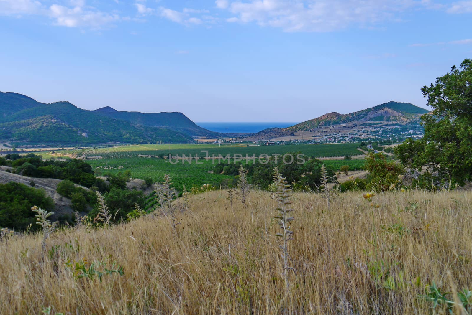 Beautiful view of the mountain valley with bright green coloring of the vegetation in it. With visible houses near the foot of the mountain and blue sea visible between the slope by Adamchuk