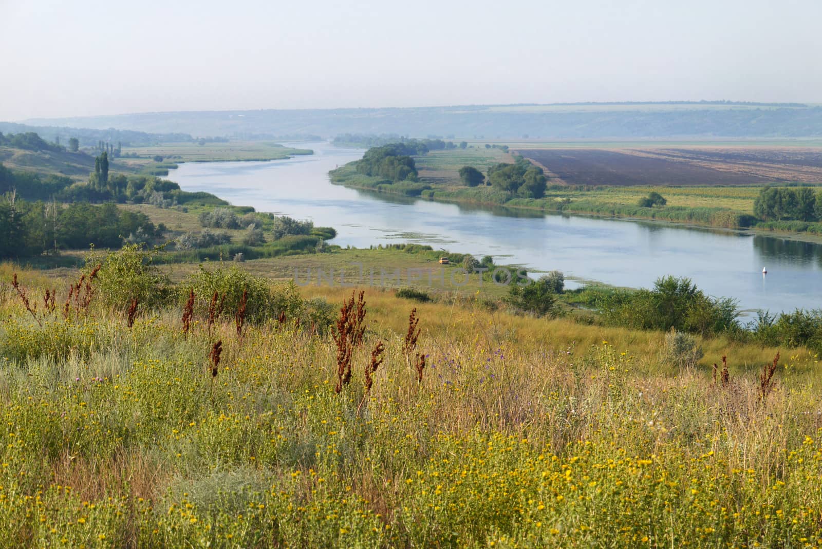 A picturesque glade overlooking the river on a cloudless day by Adamchuk