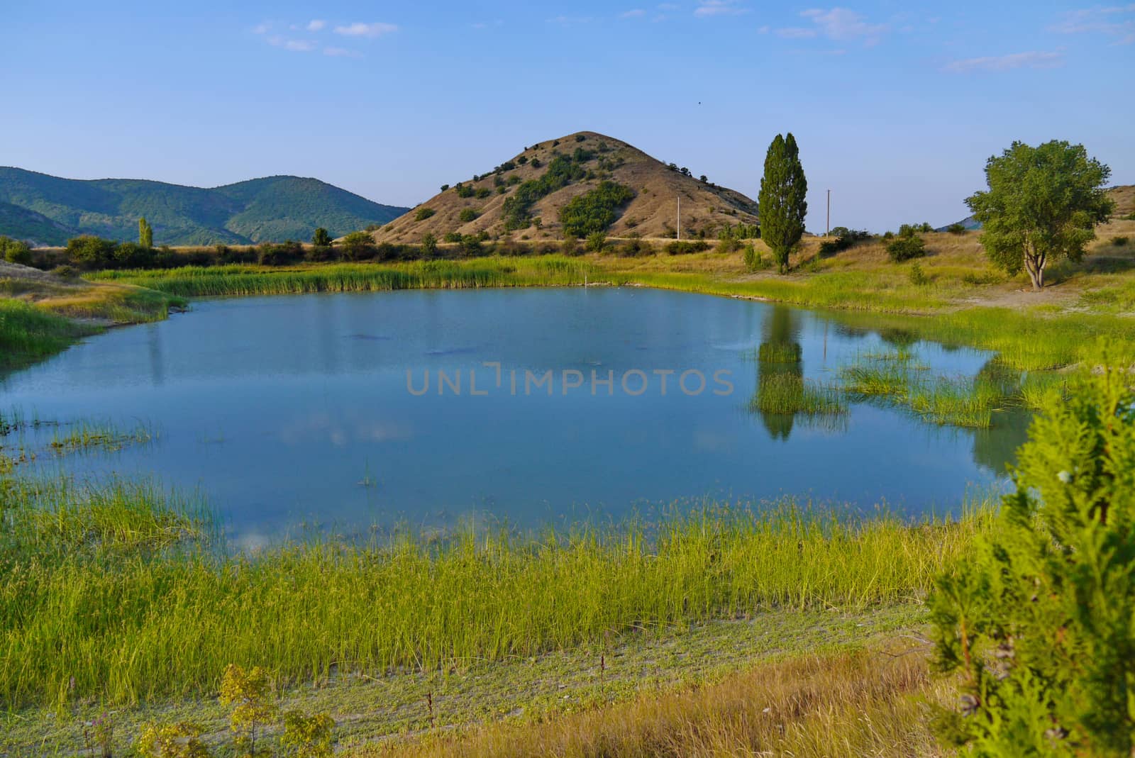 A small beautiful lake reflecting the sky in the background of small mountains and trees