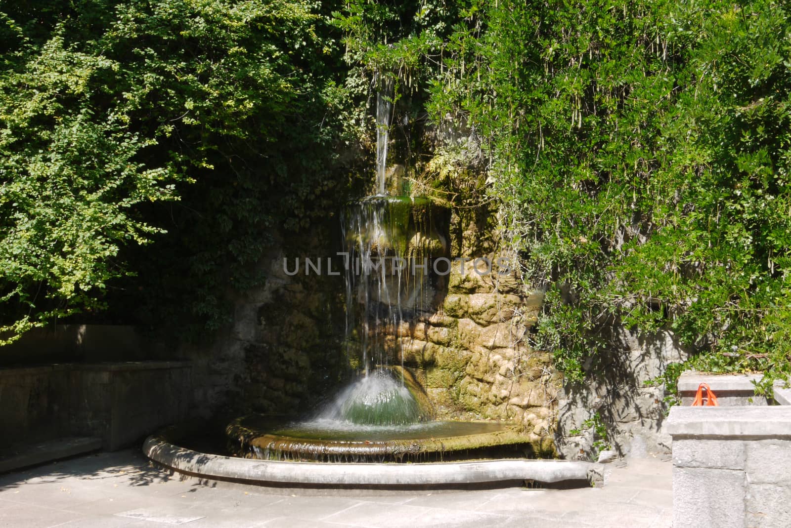 a magnificent small fountain hidden in the thick of bushes and flowing down the rocks