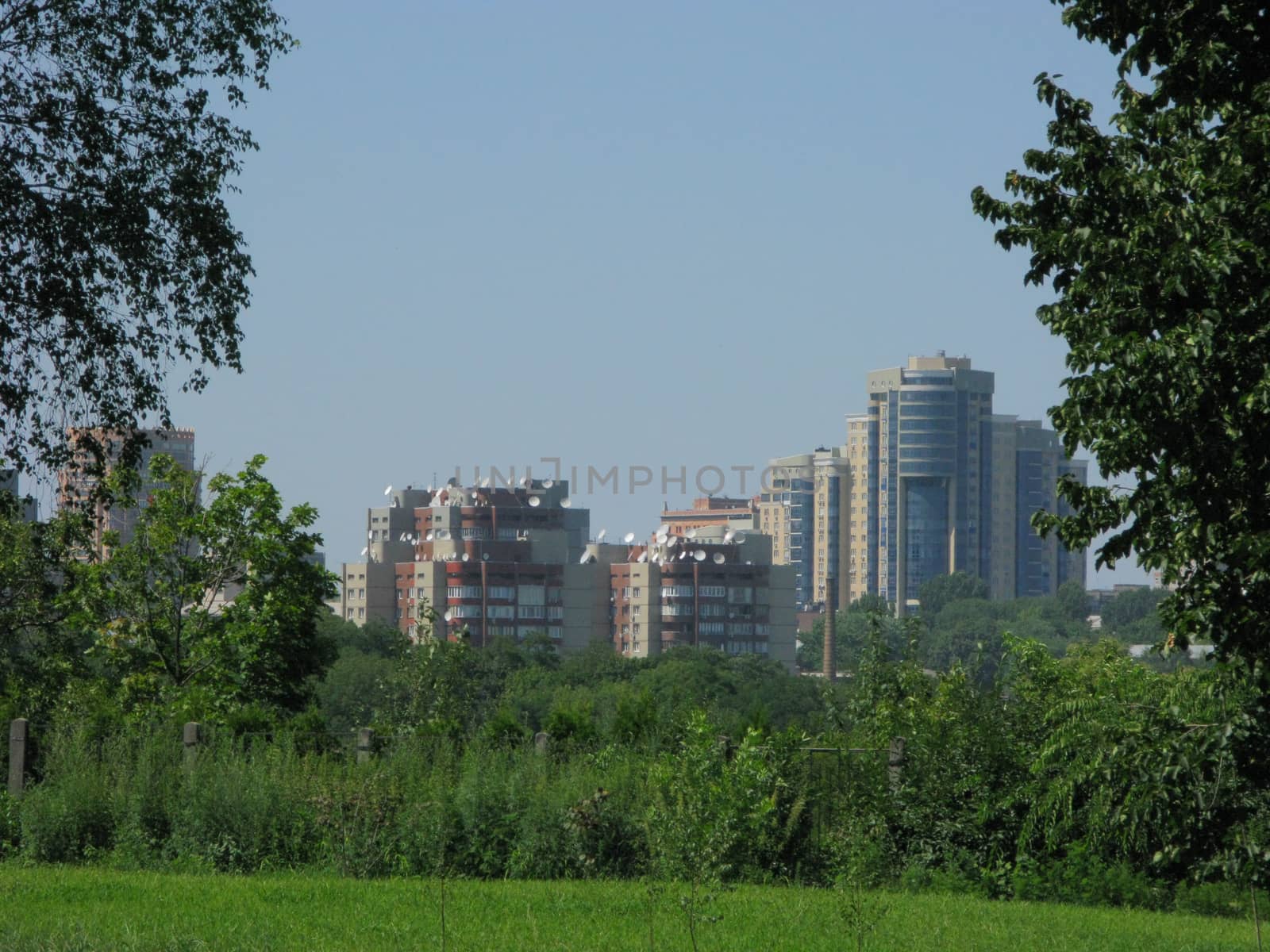 Urban high-rise buildings against a background of green trees and shrubs