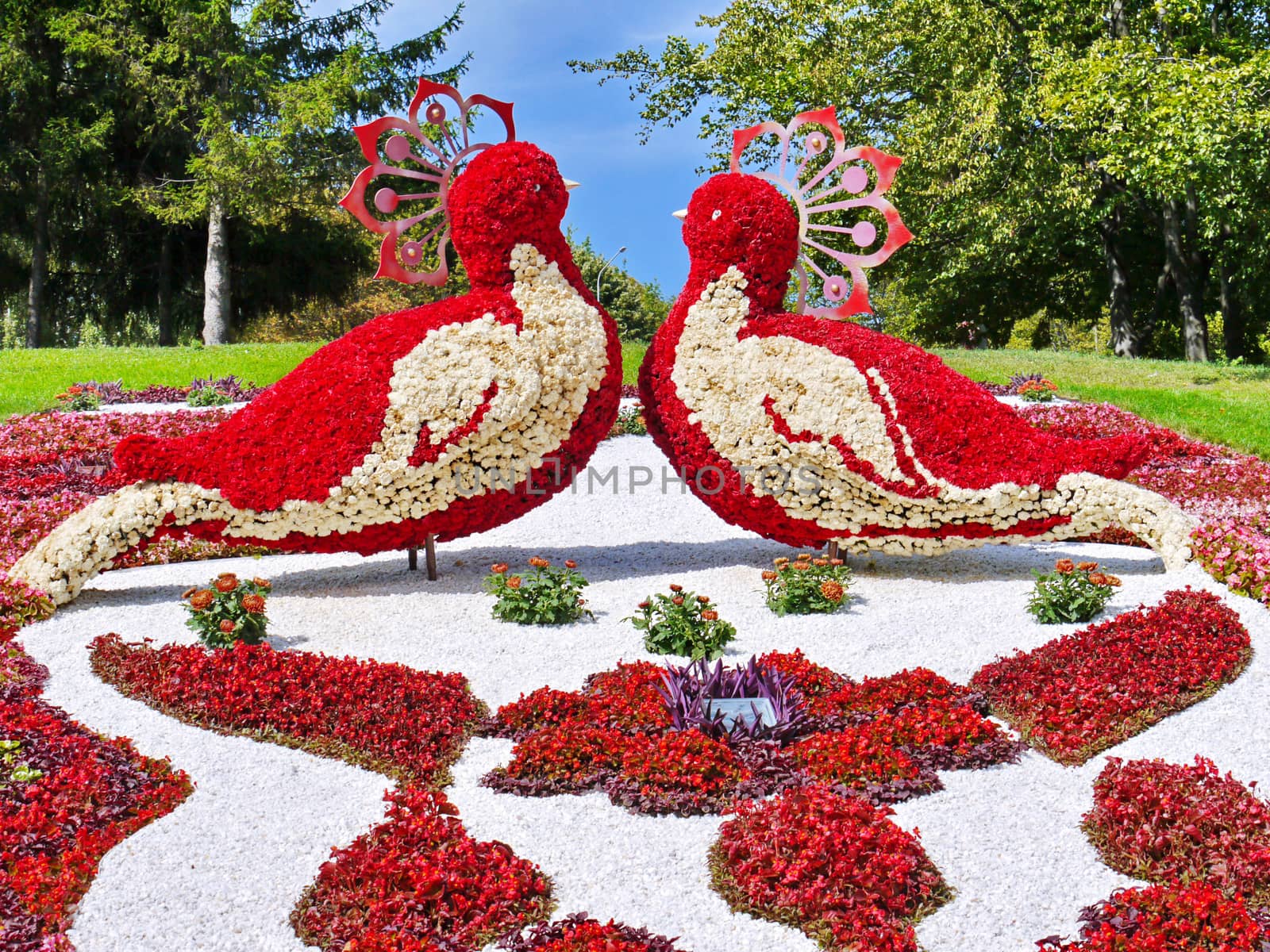 A magnificent composition consisting of two birds standing in the middle of an equally beautiful carpet planted from flowers.