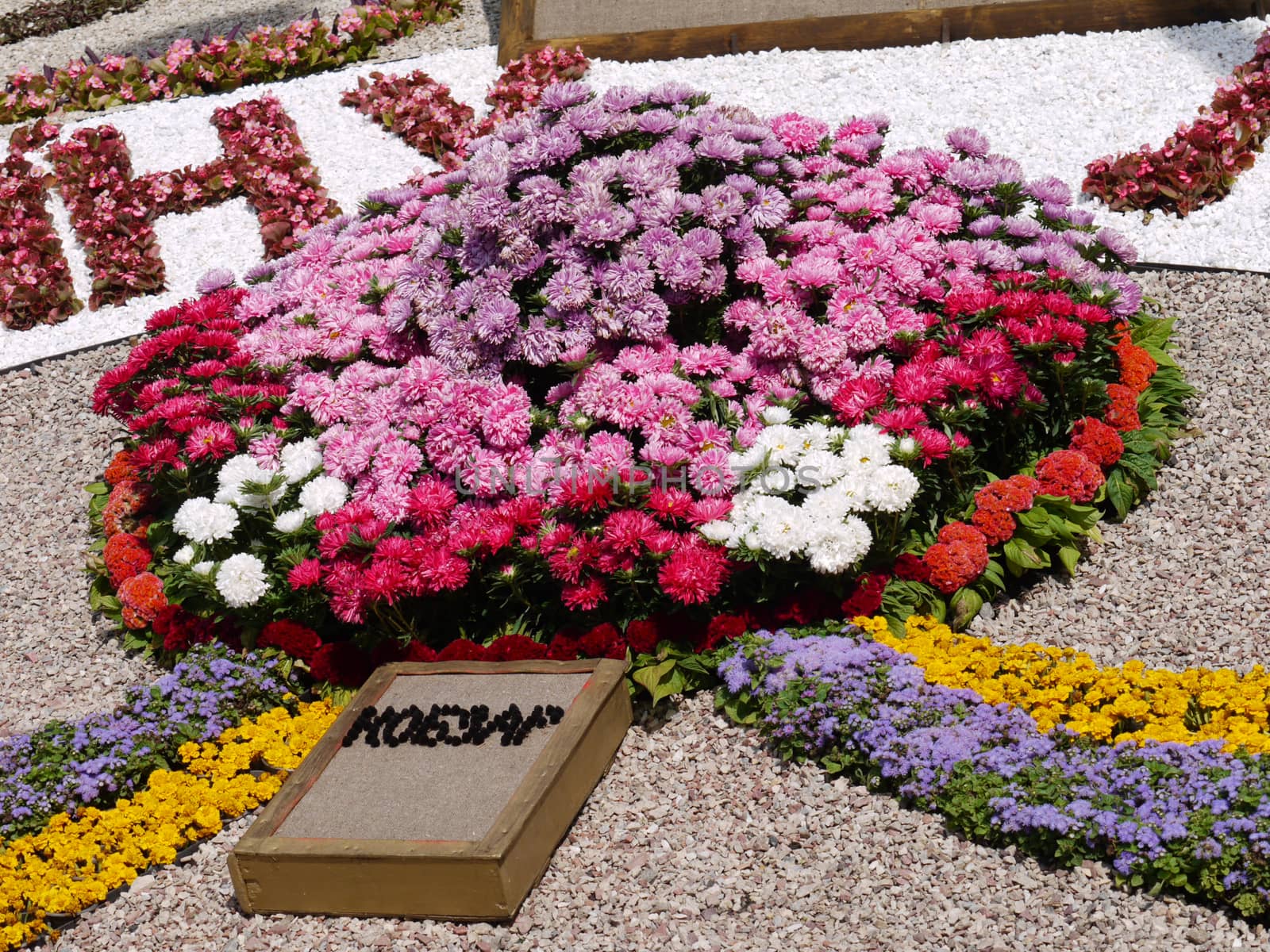 Luxury flowers on the slope collected in the composition next to the layout of the book of the national poet lying next to them.