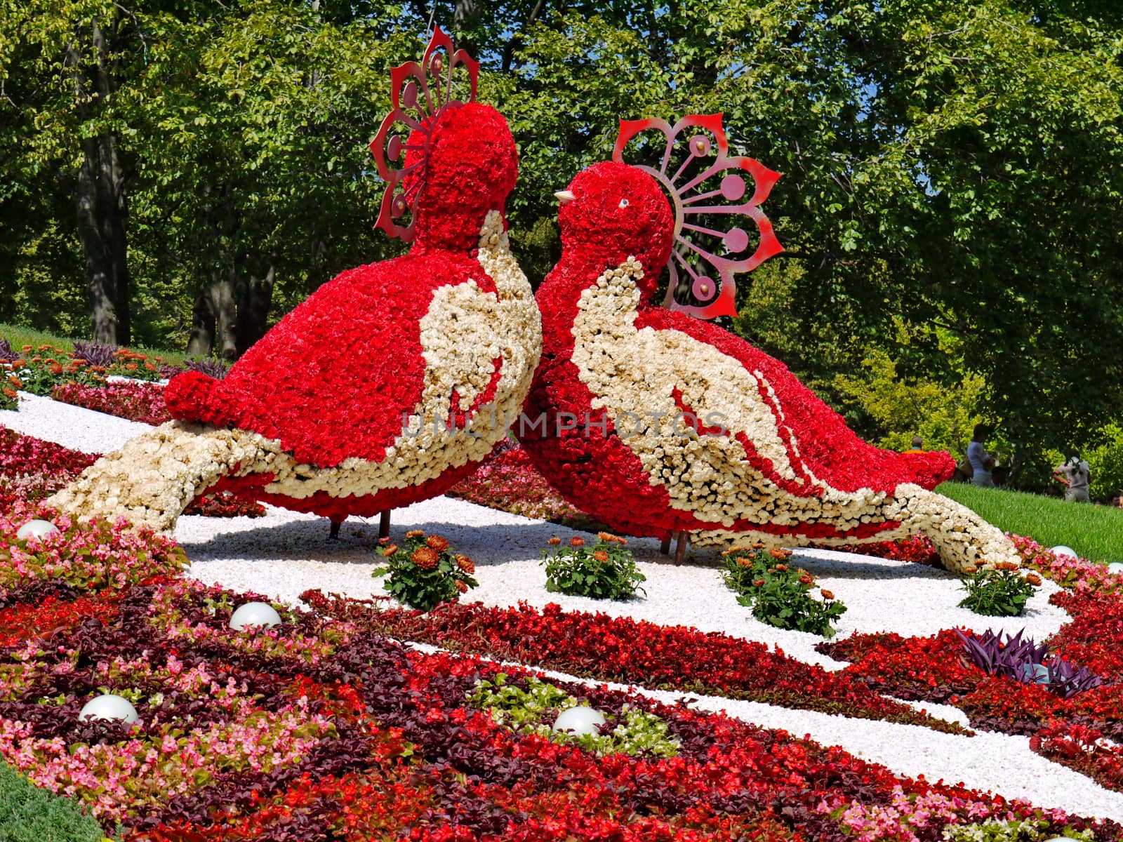 Silhouette of two large birds made of red and white flowers against the background of a beautiful flowerbed and deciduous trees.