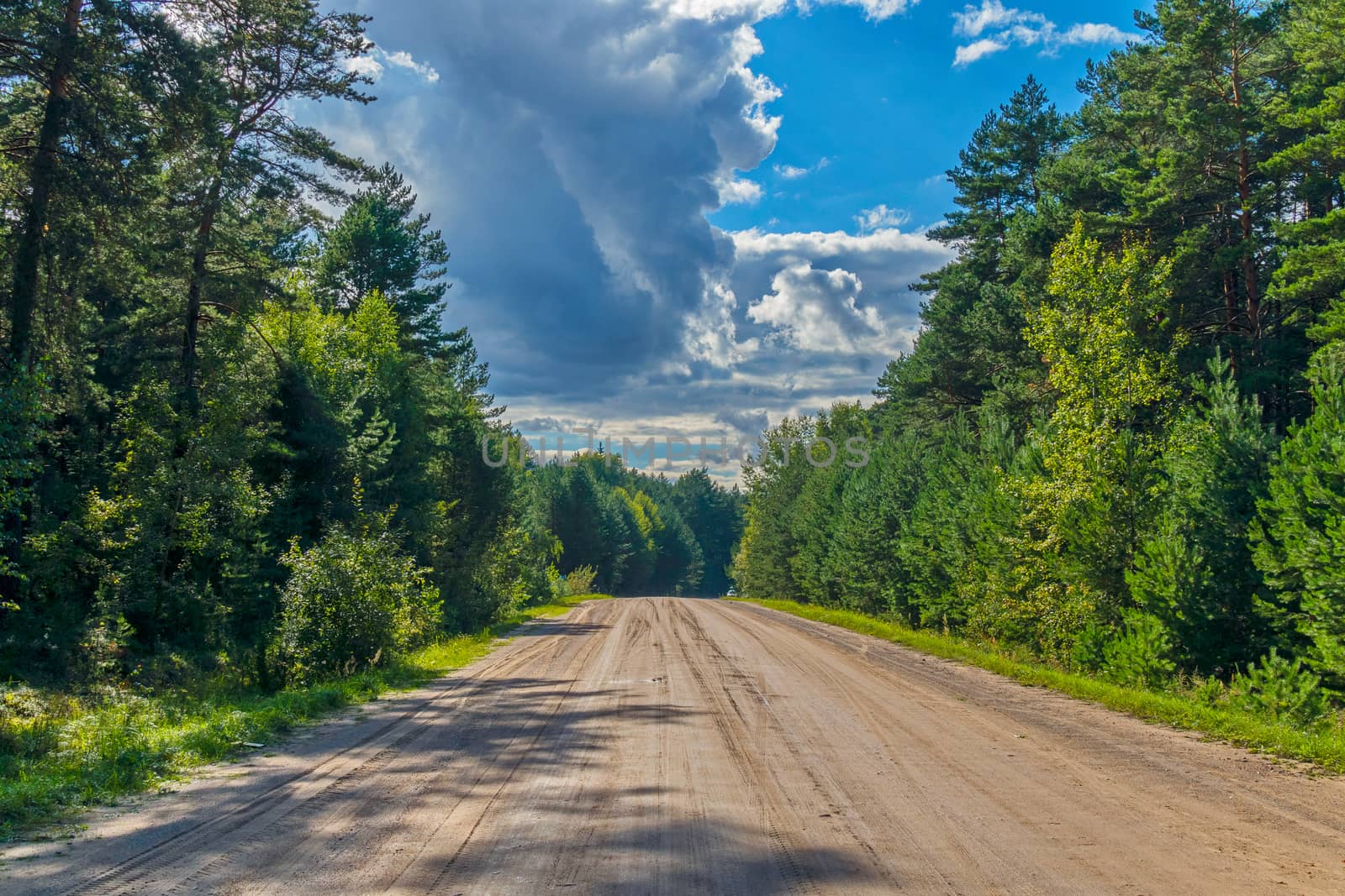 flat dirt road in the forest against the background of rain clouds in the sky