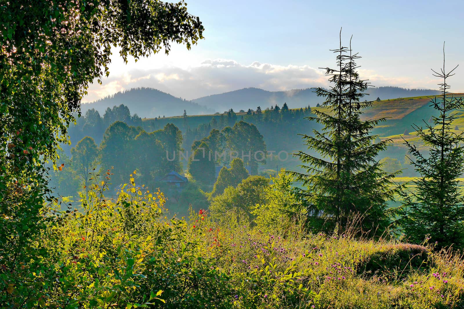 The tops of trees and hills in a bluish haze against the backdrop of mountains and sky