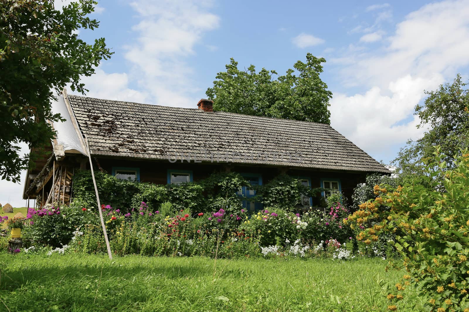 A wooden country cottage is covered with tiled windows with blue windows in an oasis of green trees.