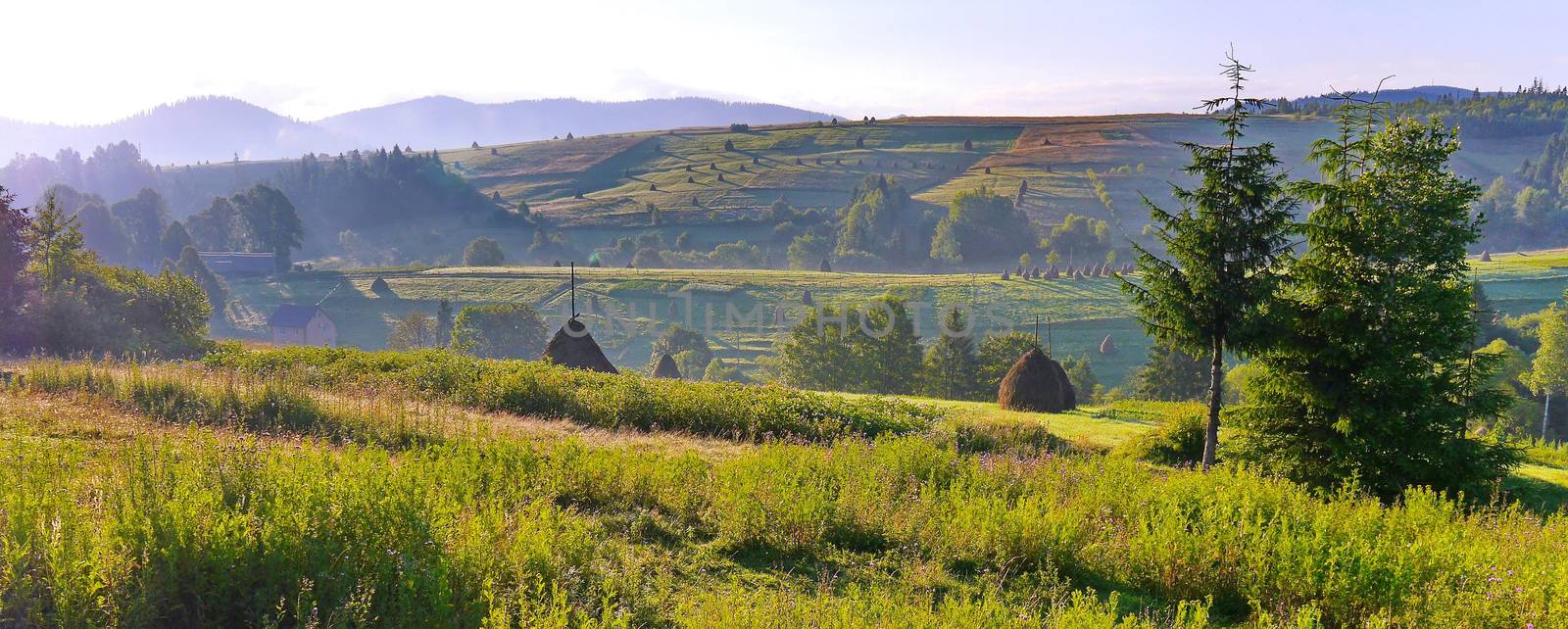 transparent morning haze on evenly tapered green hills by Adamchuk