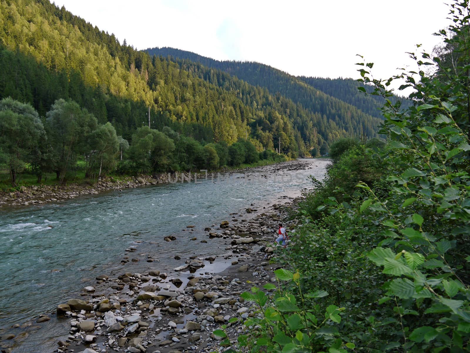 Beautiful and striking river in thickets of bushes and trees at the foot of the majestic mountain