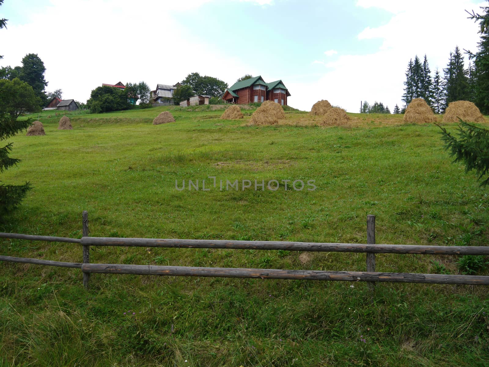 a wooden fence of a homestead with dried and collected grass behind it