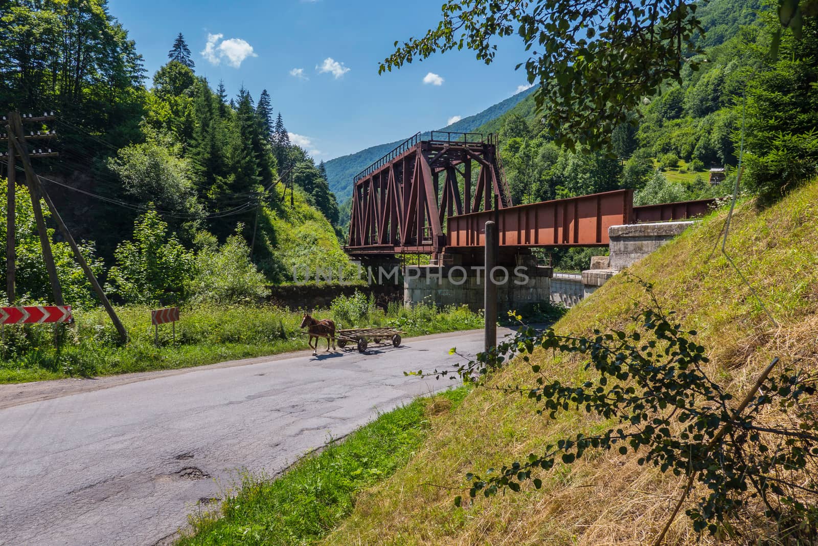 horse carriage passing under a bridge on the road near the forest